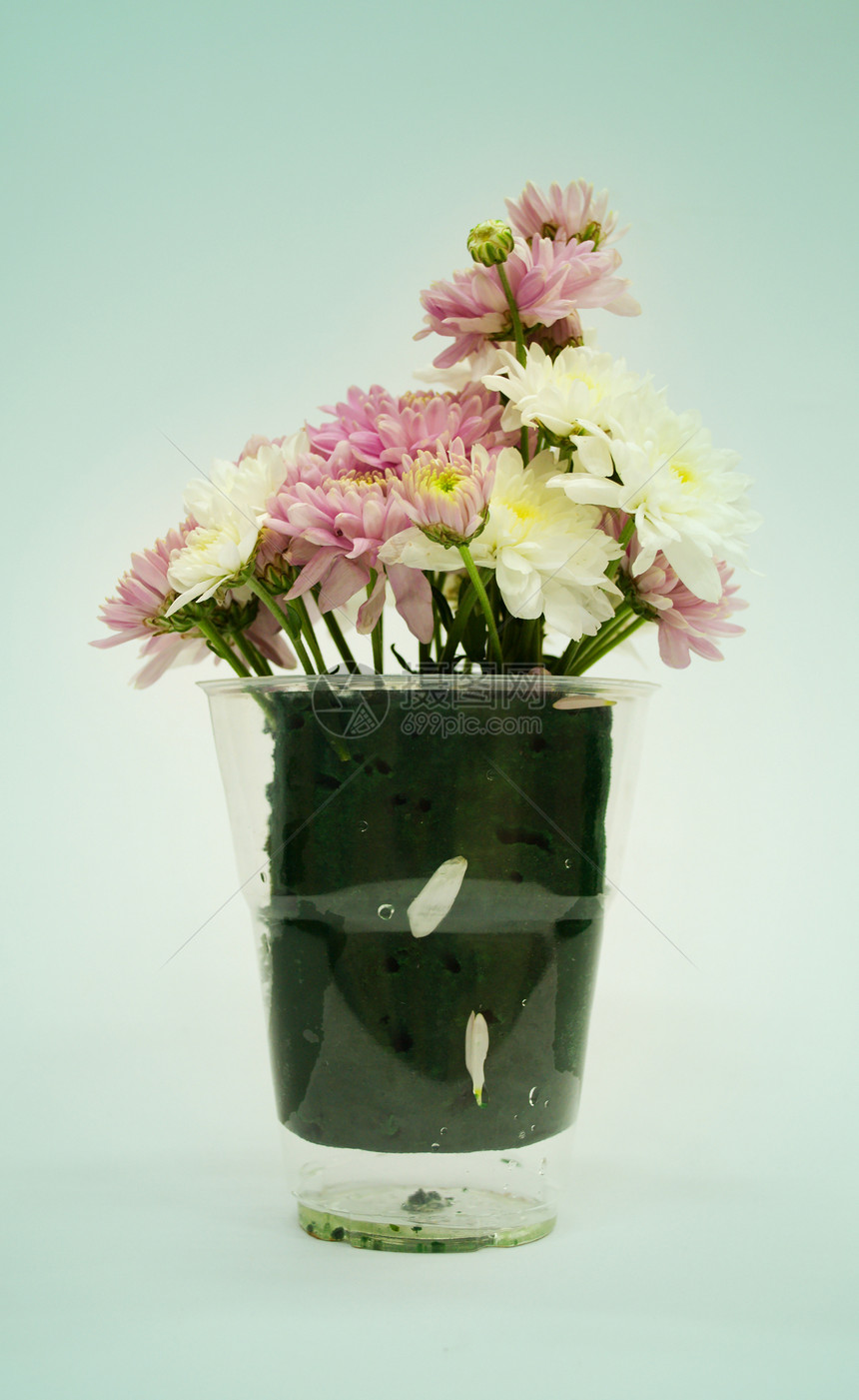 花瓶中的鲜花玻璃花束郁金香花瓣雏菊玫瑰蓝色植物浪漫花朵图片