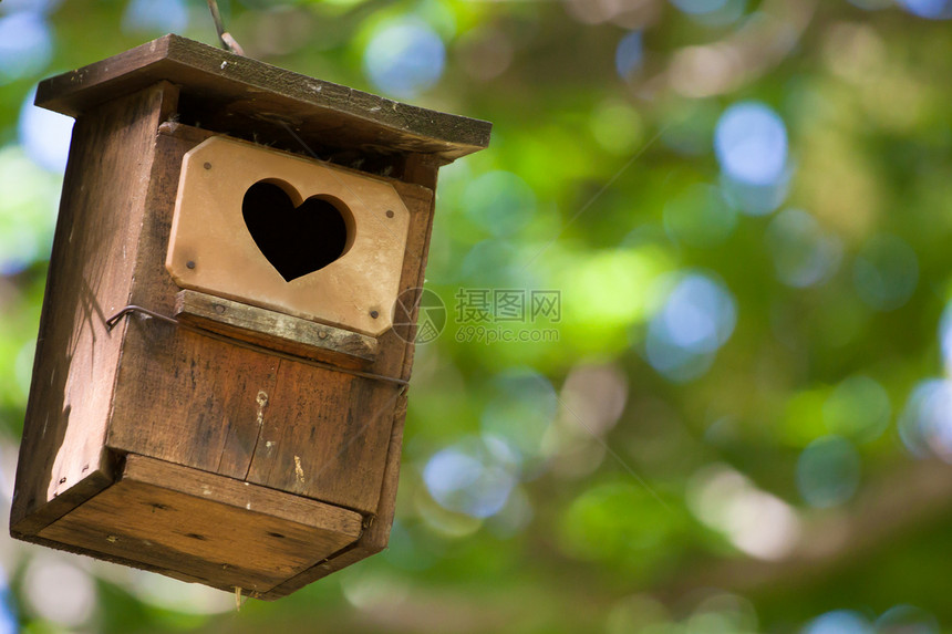 鸟屋和心脏被震碎的入口分支机构森林木头公园盒子鸟巢房子生活食物野生动物图片