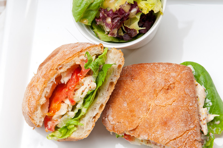 配鸡肉和番茄的意大利三明治食物营养烹饪午餐叶子早餐工作室小吃包子饮食图片