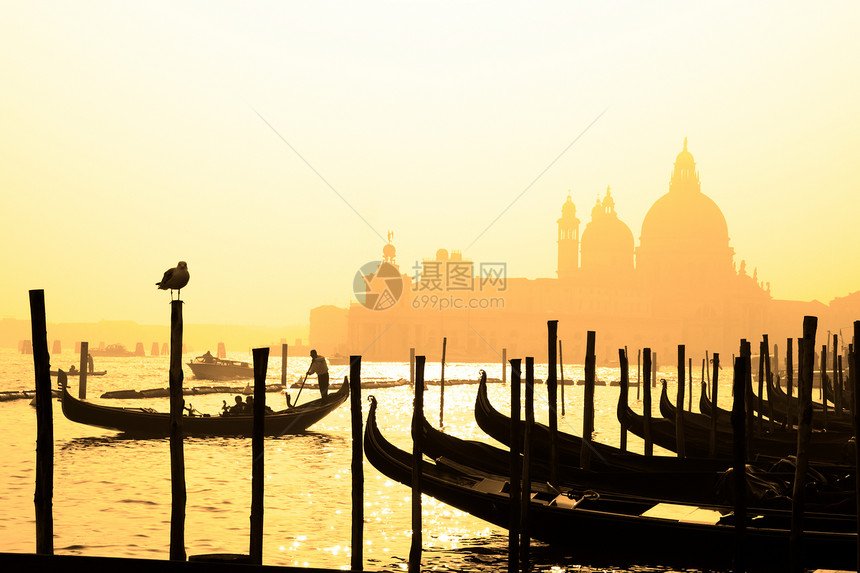意大利罗马威尼斯旅行金子圆顶渠道旅游城市景观运输海鸥辉光图片