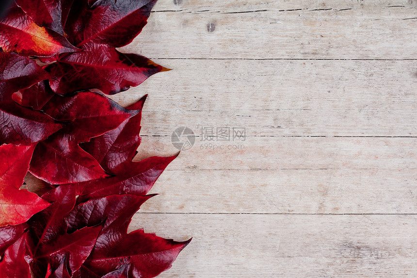 红秋假艺术边界棕色树叶木板木头边缘红色乡村图片