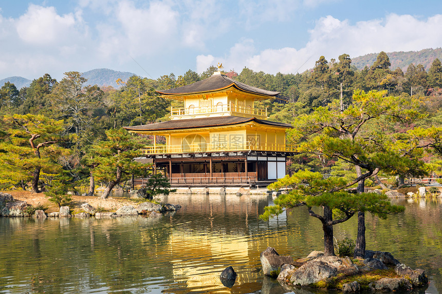 京都的金角寺寺金子遗产历史性宝塔建筑学松树宗教观光佛教徒地标图片