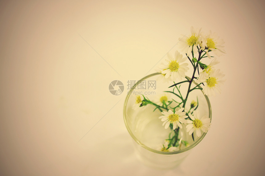 花束花蓝色郁金香浪漫玻璃植物花朵玫瑰花瓣礼物雏菊图片