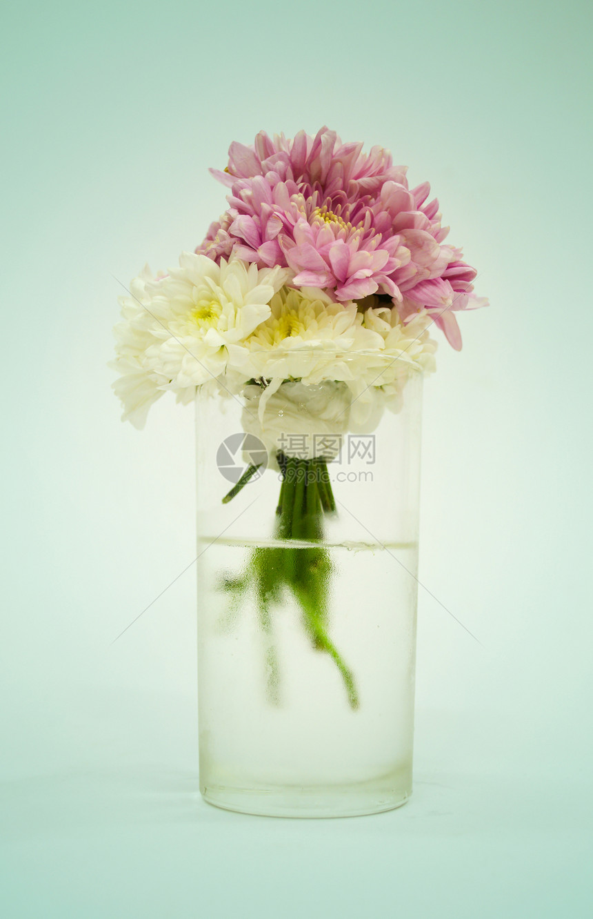 花瓶中的鲜花蓝色花束浪漫礼物玻璃花朵郁金香雏菊花瓣植物图片