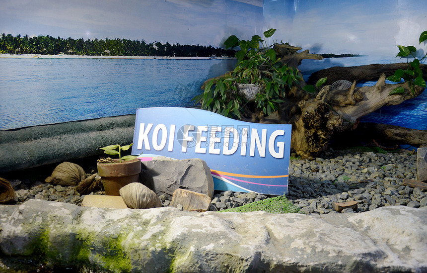 在一个公共水公园的Koi喂养标志图片