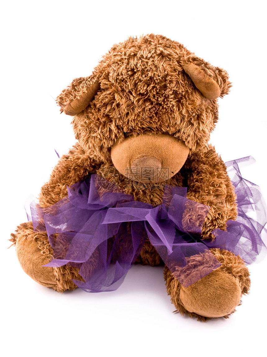 泰迪熊穿紫色裙裙裙子图片