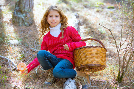 好用的搜素材秋天 女孩儿在用篮子搜蘑菇蓝色树木童年旅行公园金发采摘森林幸福假期背景