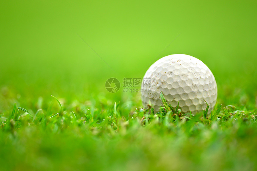 草地上高尔夫球白色对象绿色运动图片