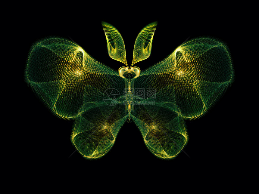 蝴蝶闪光宏观眼睛花园元素野生动物装饰品科学渲染设计生物学图片