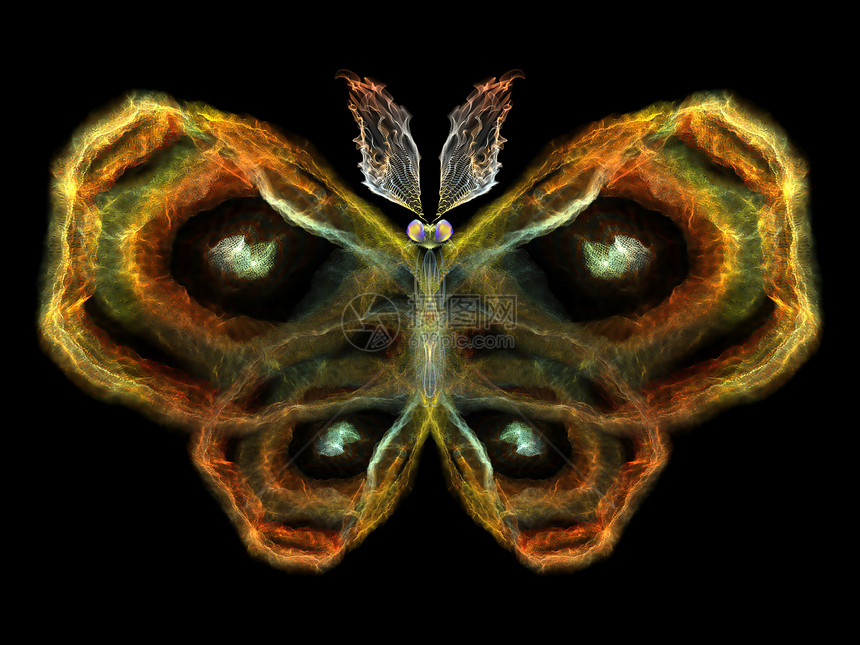 蝴蝶元素漏洞装饰品花园昆虫创造力奉承科学数学翅膀动物图片