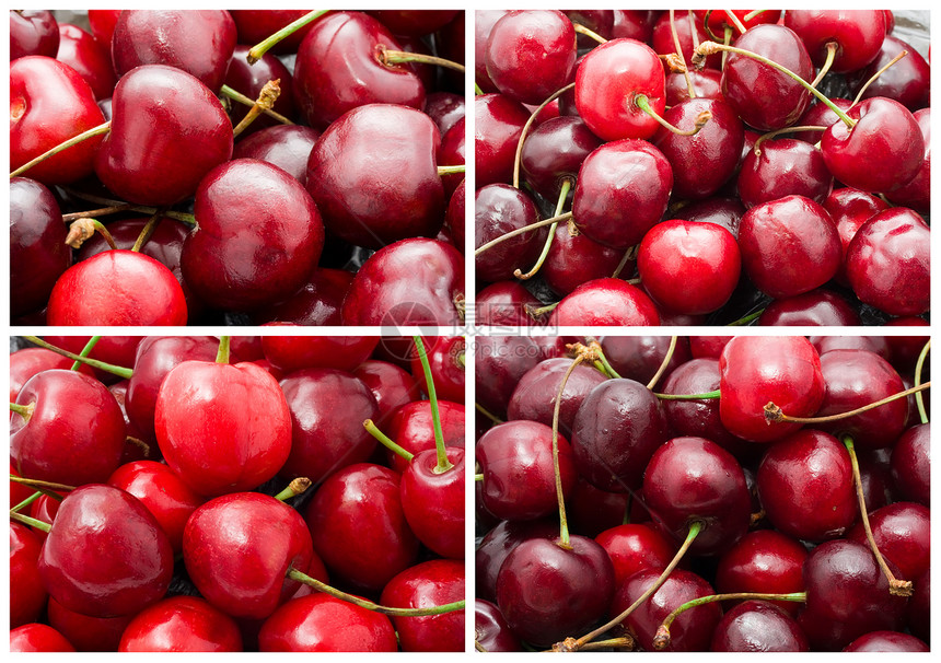 樱桃水果宏观红色叶子甜点食物浆果图片