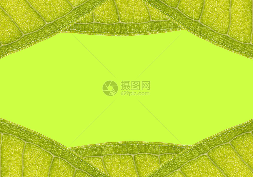 绿色文字空间从叶叶的自然框架到绿色文字图片