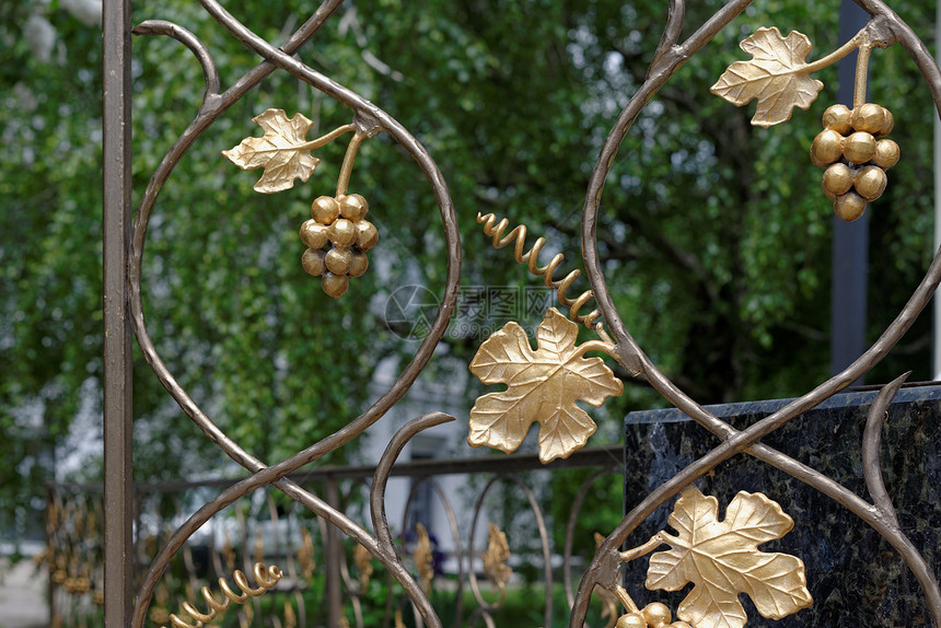 乌克兰基辅葡萄藤的装饰性拉丝条形碎裂 乌克兰基辅图片