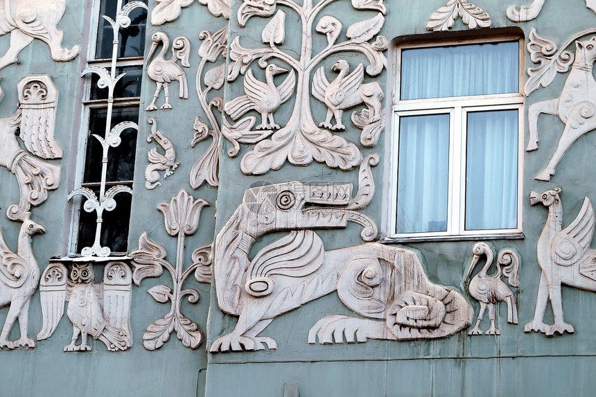 大楼的图案鸟类分支机构植物城市猫头鹰图片