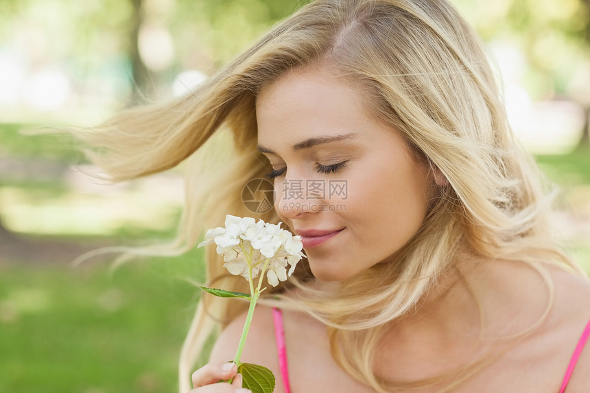 迷人的美容女人 闻着一朵闭眼花朵的香味图片