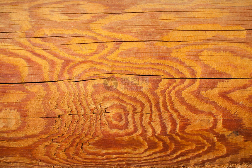 木制背景木地板木板松树硬木棕色木工控制板橡木材料木材图片