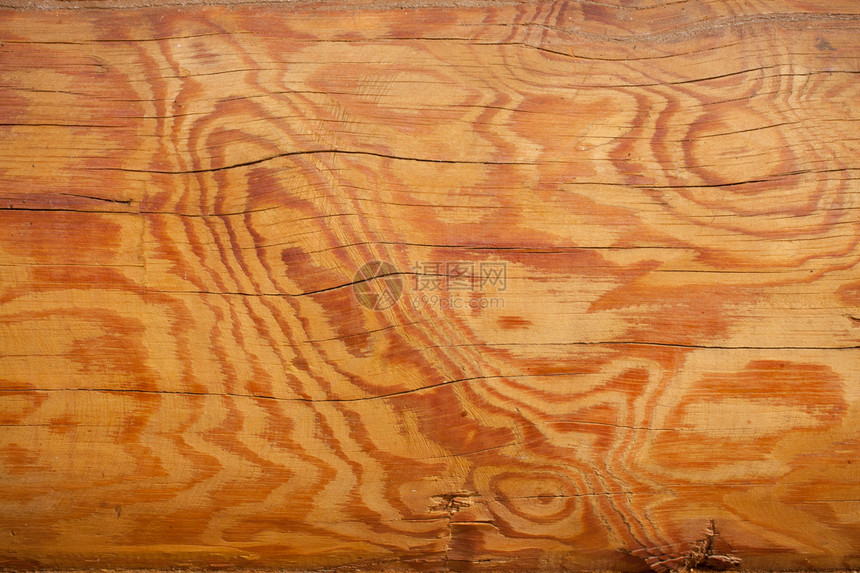木制背景材料棕色橡木硬木控制板木工地面木地板木材松树图片