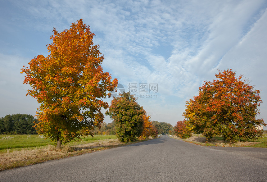 沿树木和景观一带的清空柏油布乡村公路图片