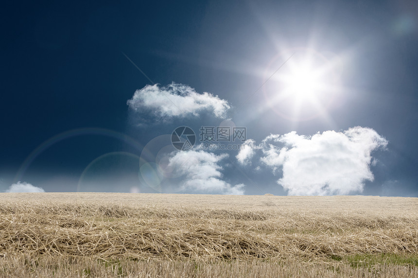 棕色阳光景观太阳蓝色稻草天空场地晴天计算机绘图农村图片