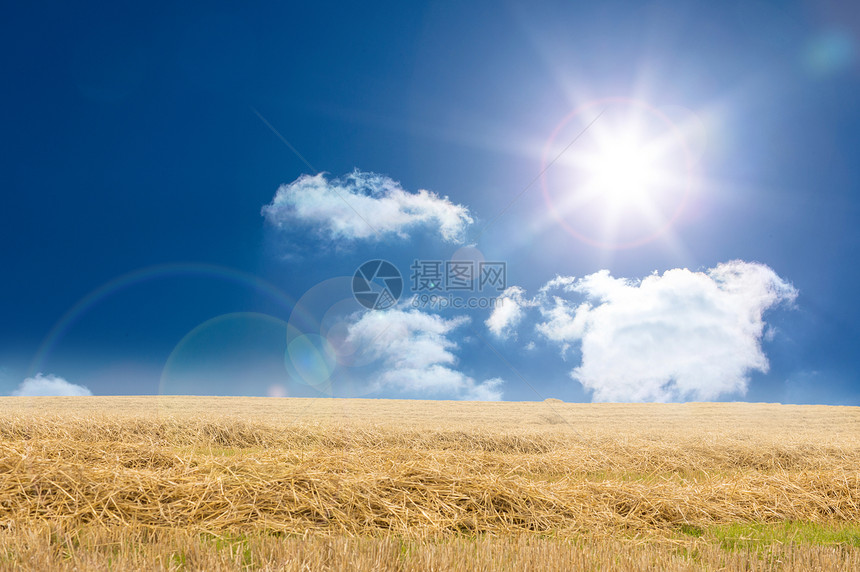 棕色阳光景观晴天计算机天空场地蓝色农村太阳稻草绘图图片