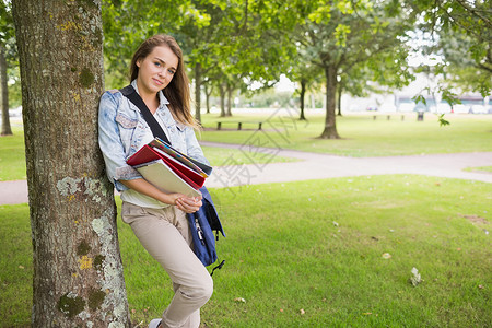 坐在树上 拿着书本的好学生背景图片
