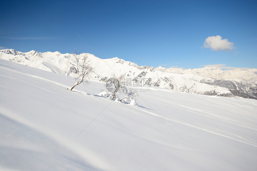 白滑雪斜坡山脉勘探蓝色冰川阳光天空运动风景季节山峰图片