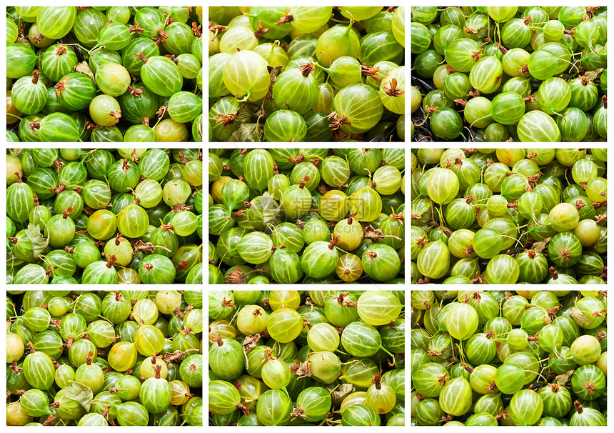 鹅莓宏观白色浆果甜点营养水果团体食物绿色图片