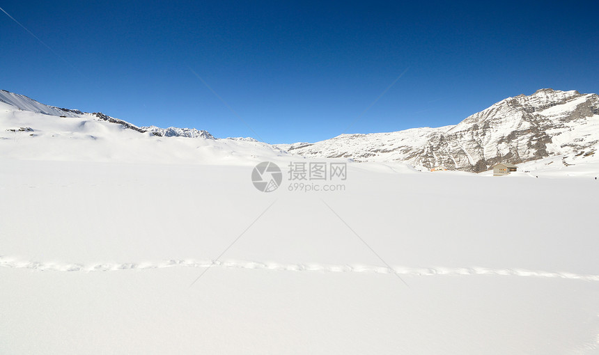 雪中野生动物的足迹季节脚印地区勘探风景冰川自由极端动物山峰图片