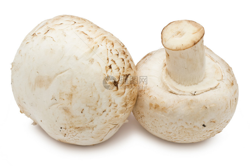 香农蘑菇食物蔬菜茶点白色团体宏观营养蘑菇美食图片