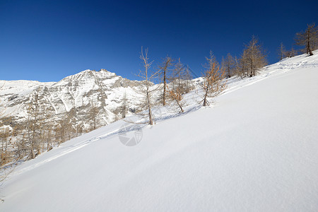 冬天静静的高山景象自由风景全景天空阳光冰川勘探山脉粉雪季节背景图片