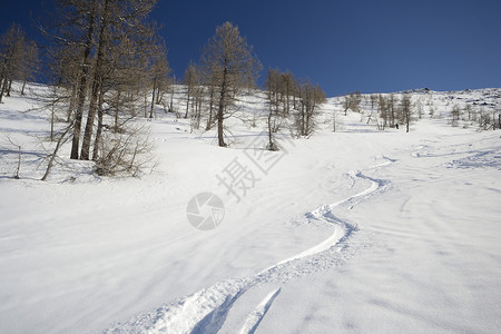 战胜逆境阿尔卑斯山的冬季冒险极限全景成就勘探愿望山峰冰川粉雪荒野运动背景