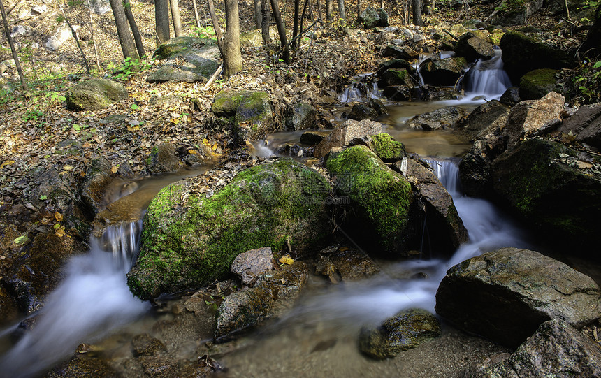 长白山溪国家公园火鸡生态森林荒野绿色瀑布树木石头图片