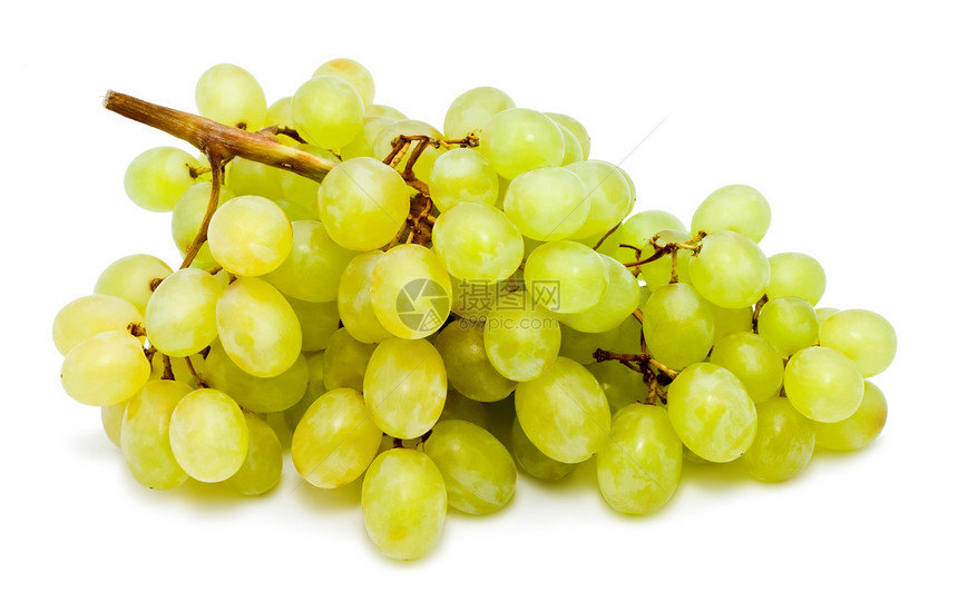 葡萄水果营养农业白色浆果绿色酒厂收成食物藤蔓图片