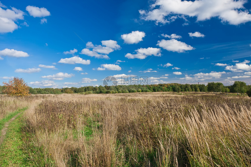 草地阳光乡村环境季节蓝色太阳白色场地绿色牧场图片