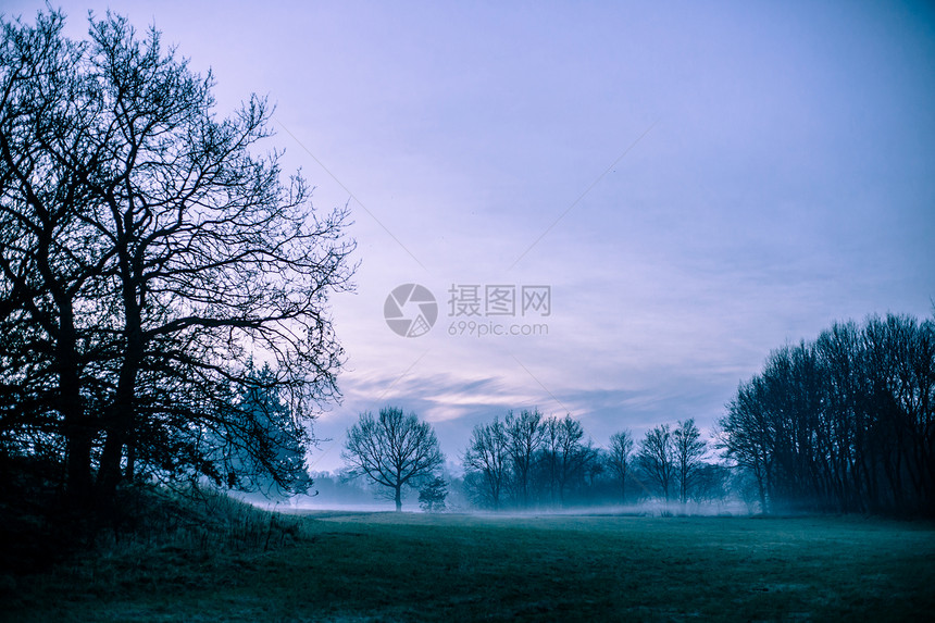 上午雾季节草地天空森林阳光风景国家农村场地土地图片