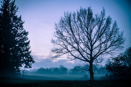 上午雾薄雾天空太阳风景农村场地环境天气草地场景背景图片