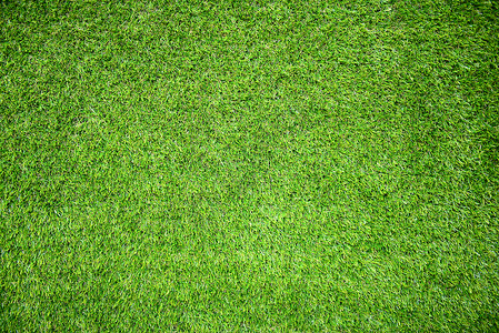 草地面积摄影栽培草坪球场运动场园景场地草之刃橄榄球场牧场背景图片