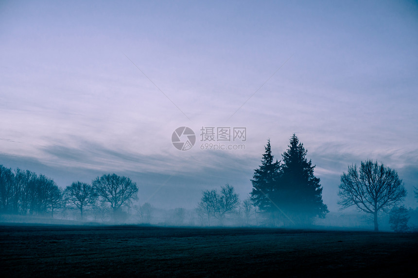 上午雾场景薄雾森林太阳草地季节场地阳光农村国家图片