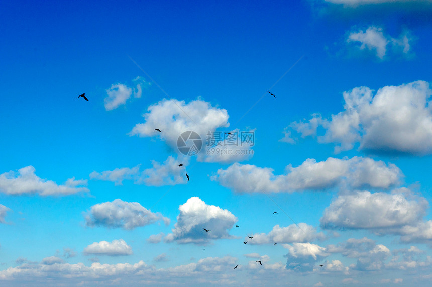 鸟类和云气象蓝色风景太阳臭氧天气自由场景晴天阳光图片
