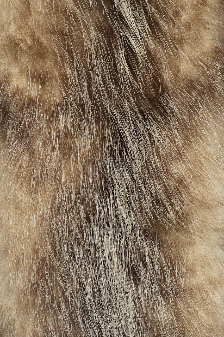 Ffur 纹理材料荒野地毯棕色皮肤框架宏观头发绒毛黑色图片