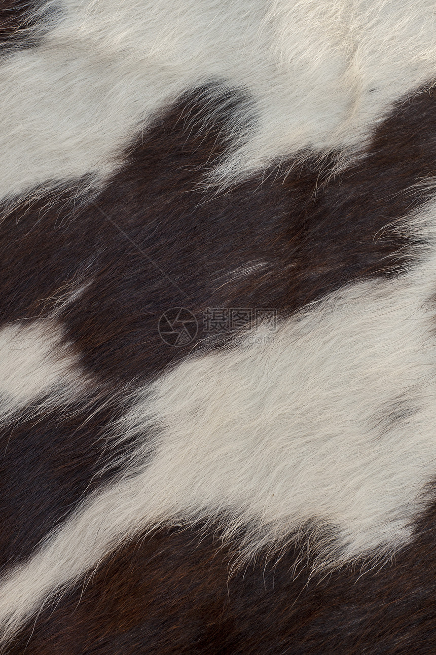 Ffur 纹理宏观地毯皮肤荒野猫科材料框架黑色外套棕色图片