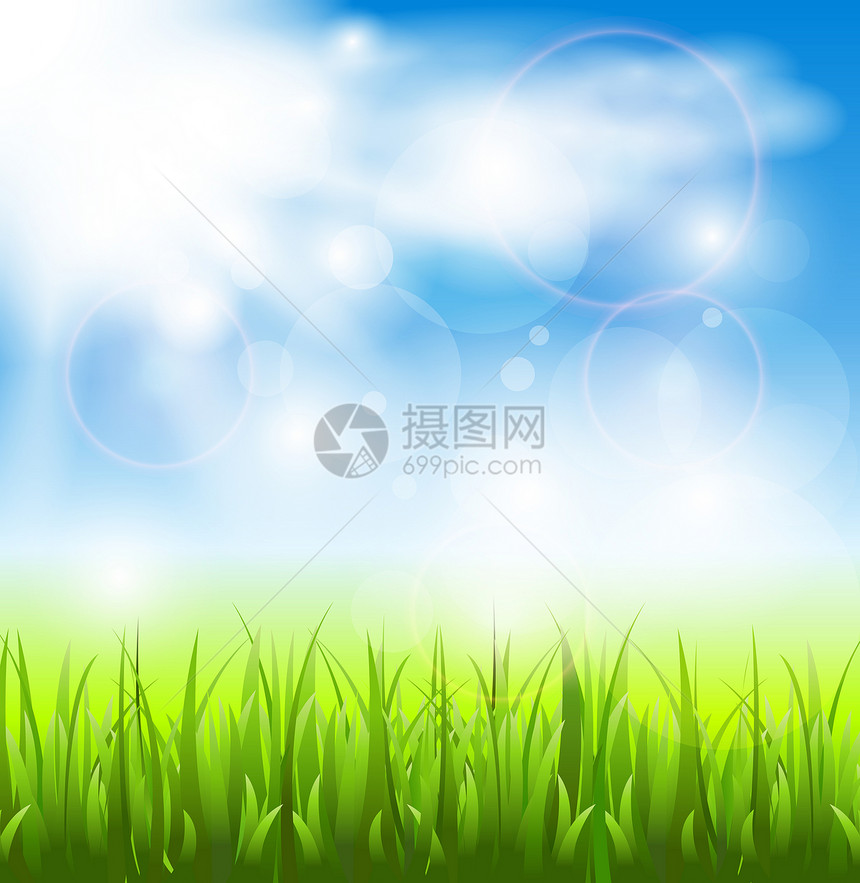 斯潘巴叶子花园草地光线活力天空植物学植物群背景季节图片