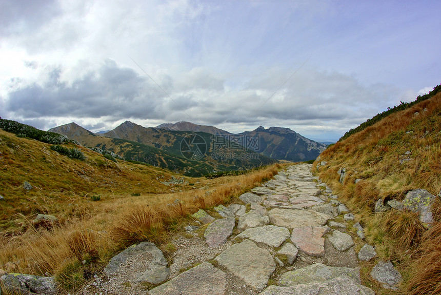 波兰Tatras山景观旅行植物蓝色踪迹松树石头旅游冒险游客风景图片