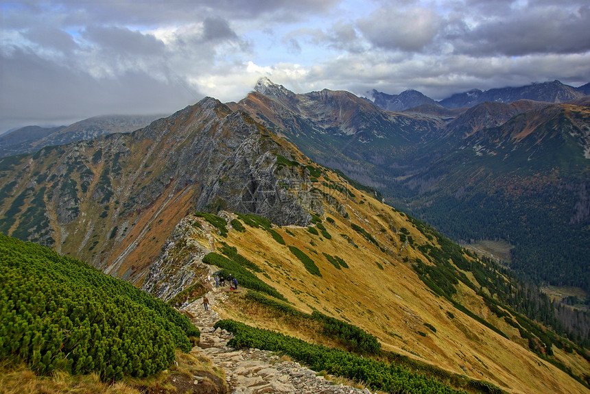 波兰Tatras山景观顶峰松树冒险游客太阳石头旅游风景森林旅行图片