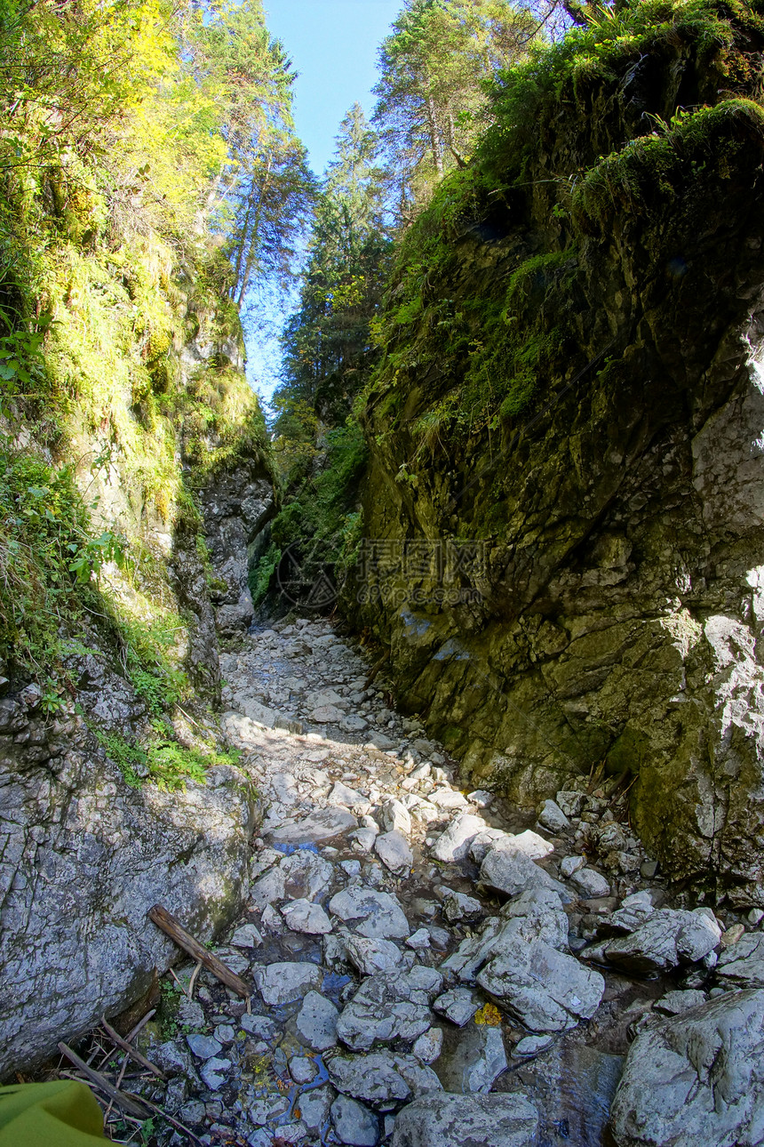 波兰塔特拉斯山脉的克拉科夫峡谷顶峰小路农村植物冒险假期蓝色松树踪迹晴天图片