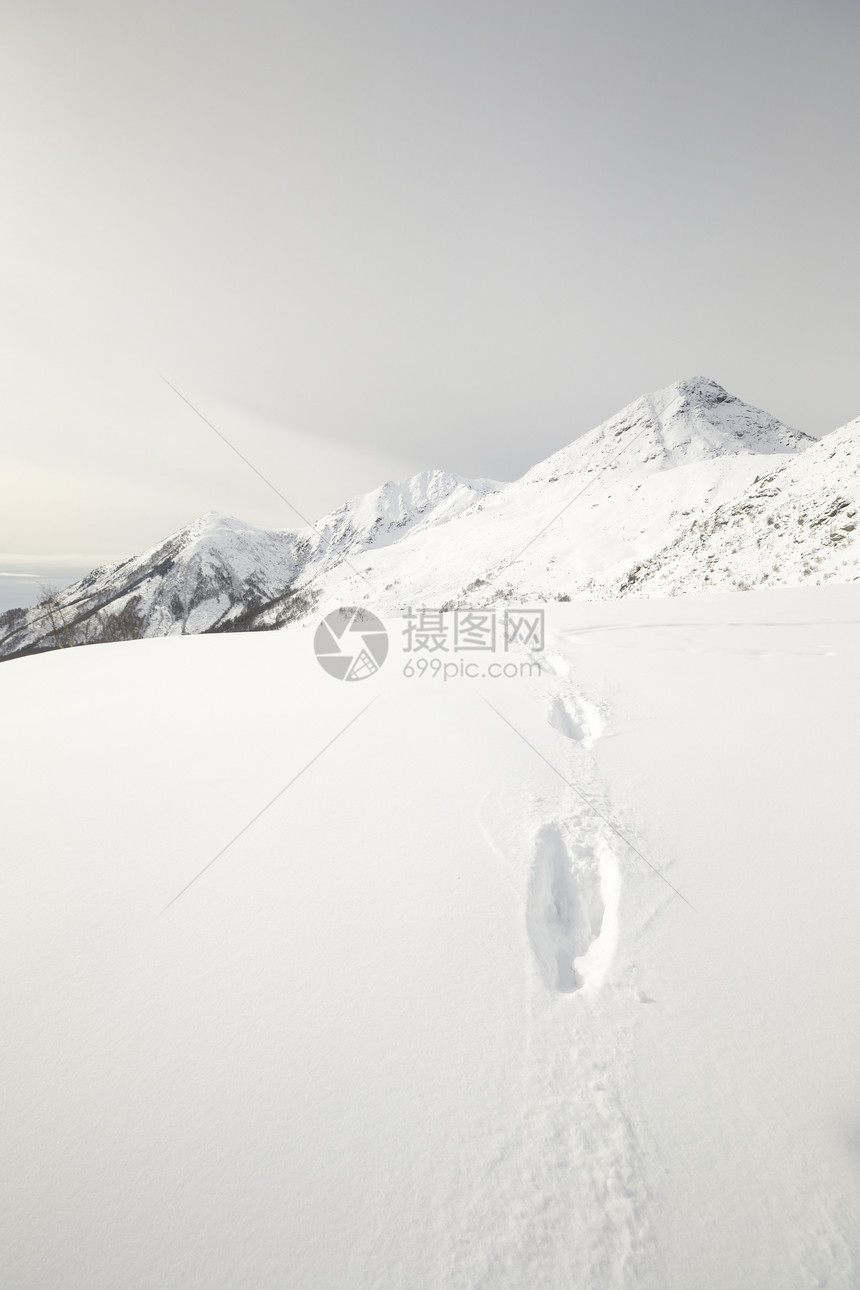 雪坡上的野生生物痕迹动物粉雪风景冰川山脉荒野背光自由季节山峰图片