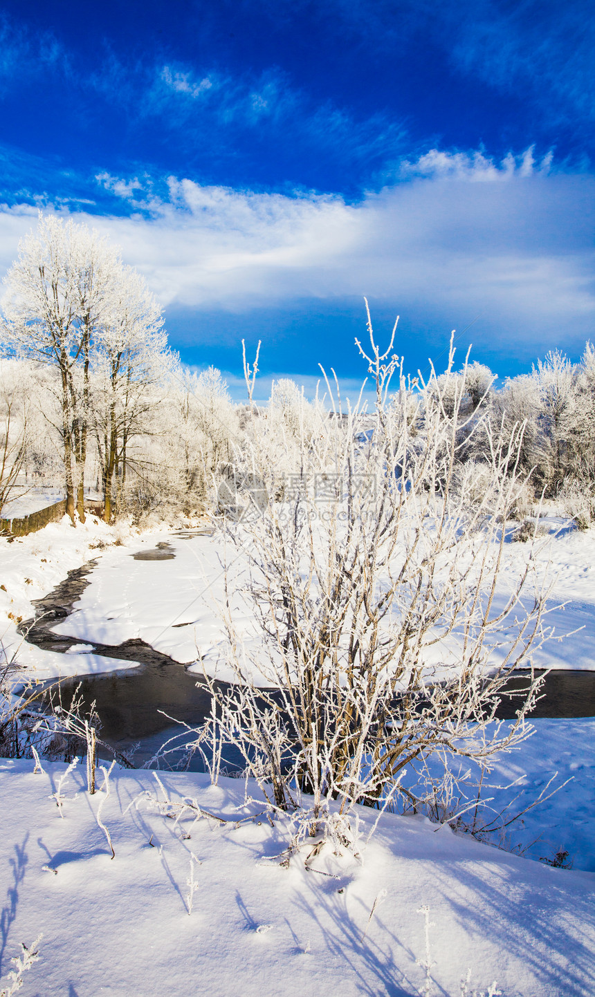 温的风景蓝色森林冻结旅行曲目公园木头国家季节天空图片