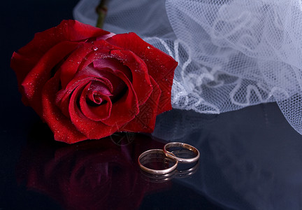 结婚卡婚礼旋律面纱花瓣床单玫瑰戒指叶子绿色红色背景图片