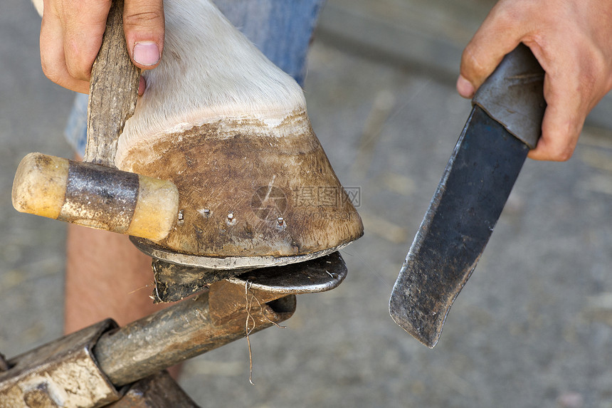 铁匠工艺农场锤子工作维修插座头发工匠马蹄铁工具图片