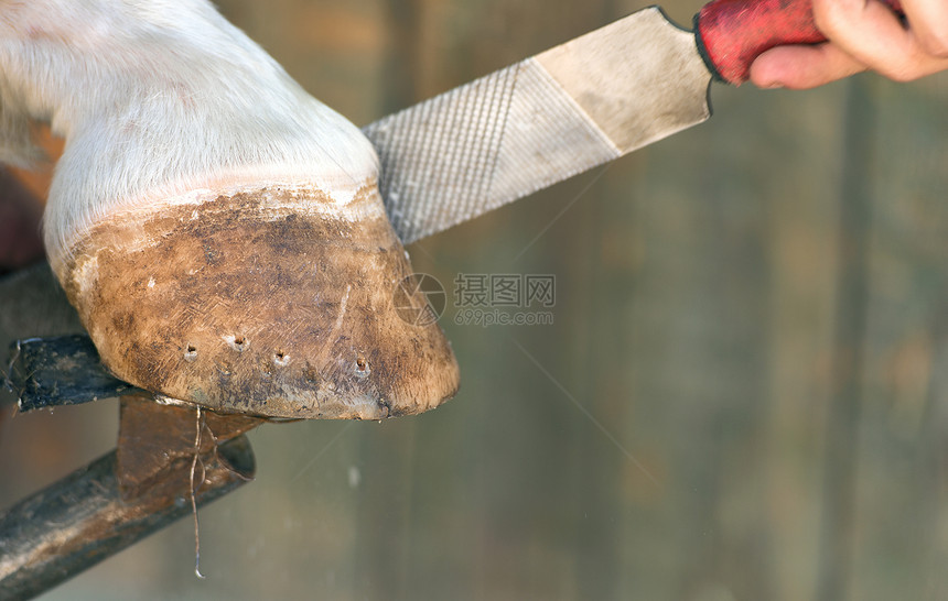 铁匠烤箱锉刀头发三脚架工艺维修工具工匠手指工作图片